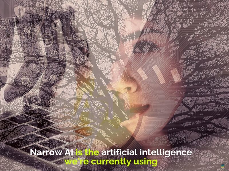 Narrow Artificial Intelligence